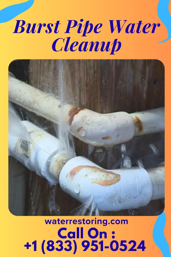 Burst Pipe Water Cleanup in Enfield, IL