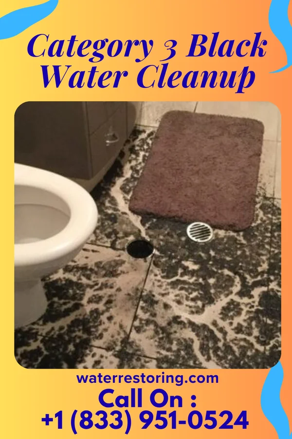 Category 3 Black Water Cleanup in Enfield, IL