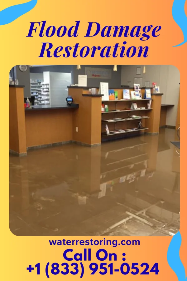 Flood Damage Restoration in Enfield, IL