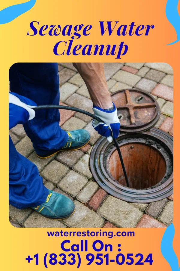 Sewage Water Cleanup in Enfield, IL