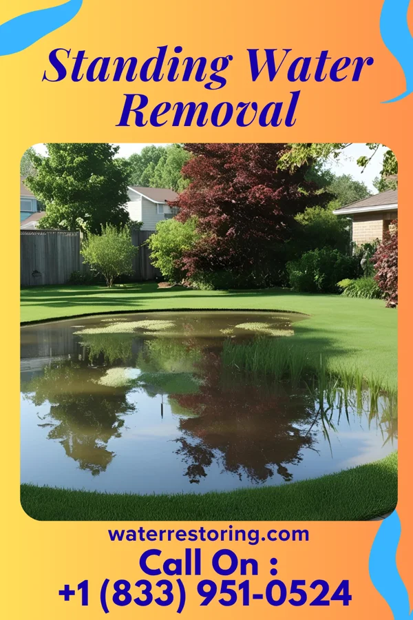 Standing Water Removal in Enfield, IL